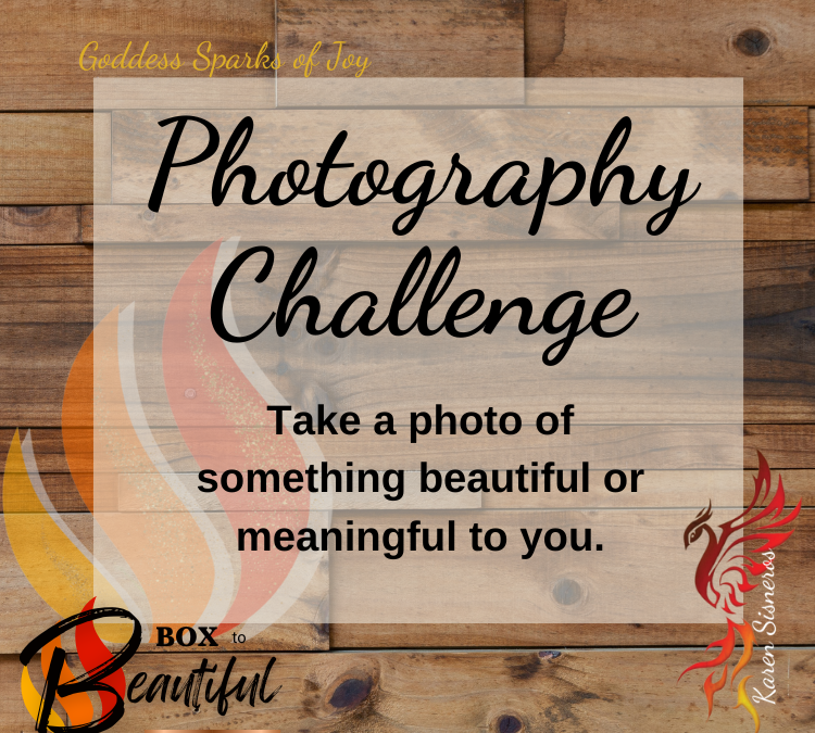 Photography Challenge