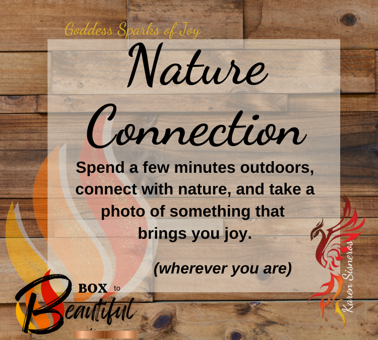 Nature Connection